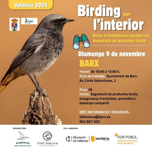 Explora la naturaleza de Barx con una ruta de avistamiento de aves
