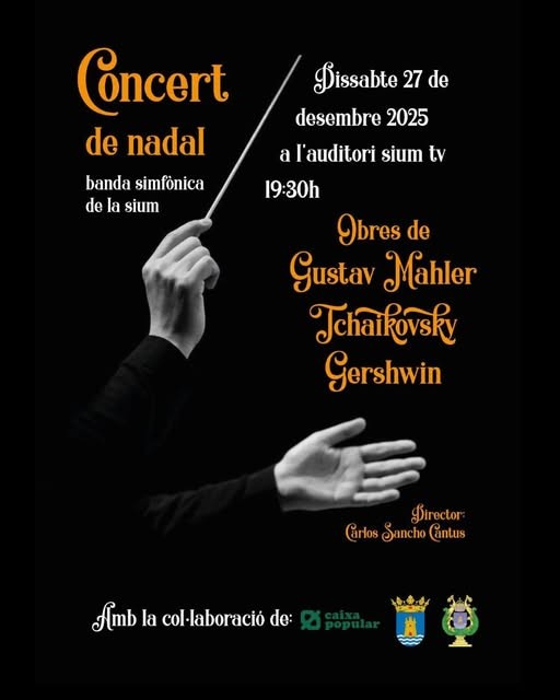 Concierto Navideño en Tavernes de la Valldigna