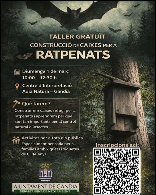 Gandia organiza un taller gratuito para construir cajas refugio para murciélagos