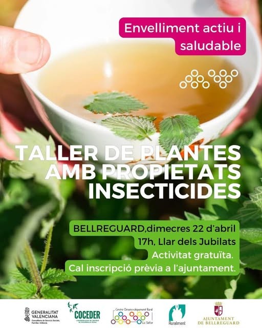 Bellreguard impulsa un taller sobre plantas con propiedades insecticidas dentro de su Semana Cultural