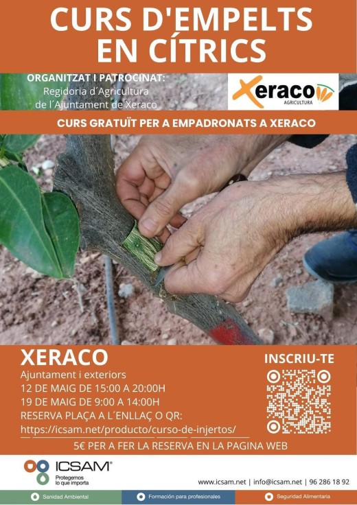Xeraco impulsa la formación agrícola con un curso práctico de injertos en cítricos