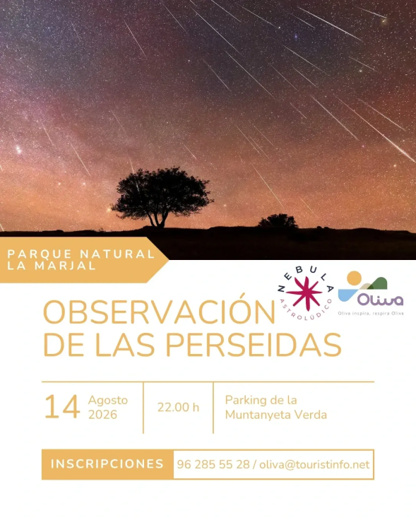 Oliva prepara una noche de observación de las Perseidas