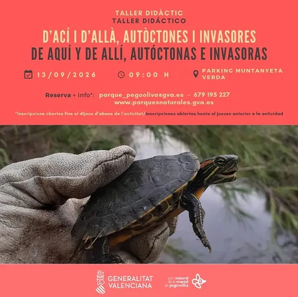 Oliva organiza un taller para descubrir las especies autóctonas e invasoras de la Muntanyeta Verda