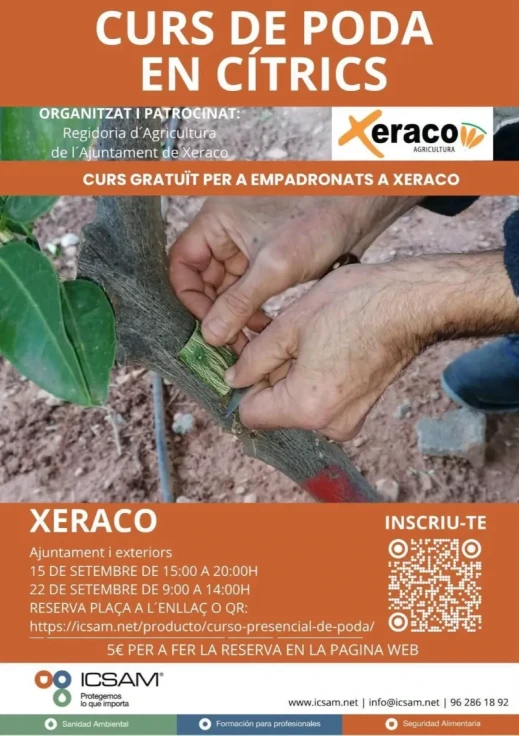Xeraco ofrece un curso gratuito de poda en cítricos para personas empadronadas