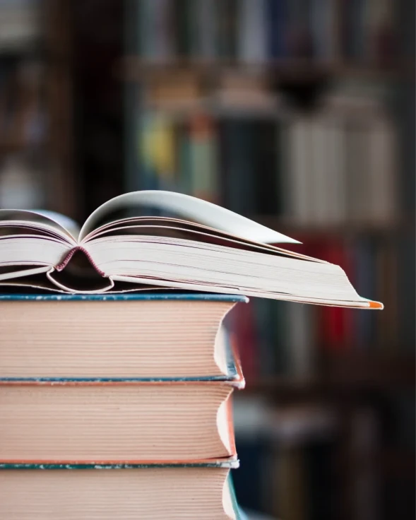 Gandia descubre la historia de la Sierra de Espadán y la resistencia morisca