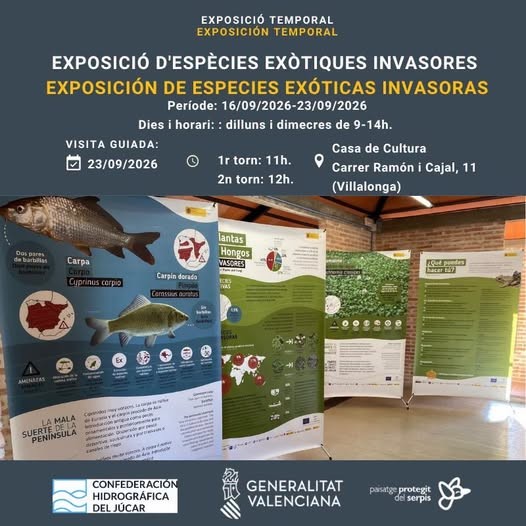 Villalonga dedica una exposición a las especies exóticas invasoras