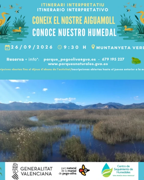 Oliva organiza una ruta interpretativa para descubrir la riqueza de la Marjal Pego-Oliva