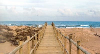 Jornada de Limpieza en la Playa l’Ahuir de Gandia