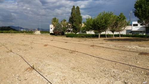 La Alqueria de la Comtessa acondiciona la zona verde de la ermita sants de la Pedra