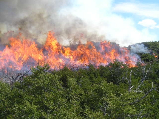 Gandia acoge la exposición ‘Enllà del Foc'