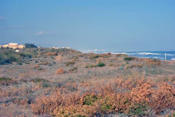 Oliva no registra ningún incidente grave en sus playas