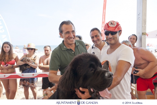 Gran éxito de las jornadas caninas en Playa Can de Gandia 