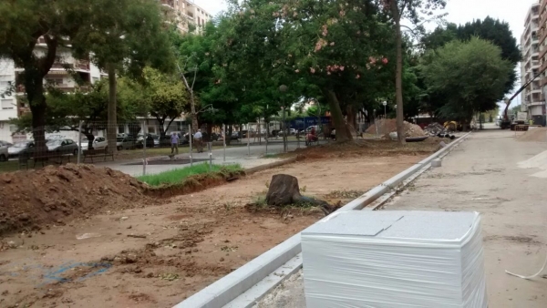 Compromís per Gandia denuncia la tala indiscriminada de árboles en el parque del Jardinet 