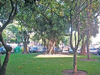La Diputación de Valencia destina más de 51.000 euros a los parques y jardines de Gandia y el resto de la Safor