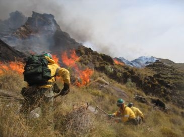 Un incendio calcina 10 hectáreas del marjal de Xeresa