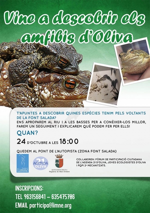 Oliva organiza una nueva jornada de observación de anfibios autóctonos