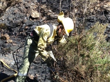 Un nuevo incendio afecta al Marjal de Gandia