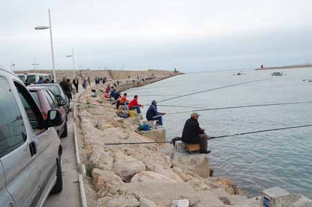 El equipo Deportivo de Pesca Gandia, organiza el quinto Concurso Regularidad Mar