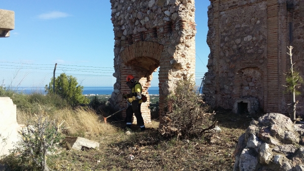 Oliva inicia trabajos de silvicultura preventiva en el Castillo de Santa Ana