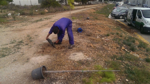 Tavernes de la Valldigna reforesta zonas afectadas por los incendios