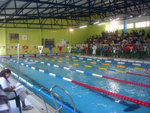 El equipo de natación de Gandia se consolida en Primera División Autonómica