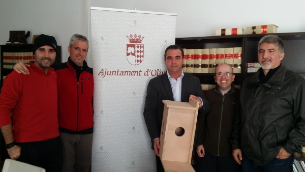 El gobierno de Oliva instalará cajas-nido para preservar a sus búhos