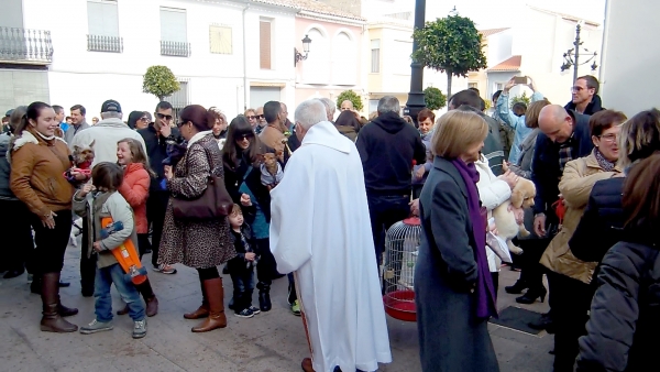 Miramar celebra con éxito de participación la fiesta de Sant Antoni