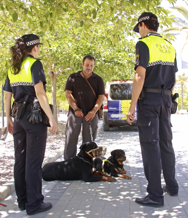 Gandia expedienta a 50 infractores de la normativa en recogida de excrementos 