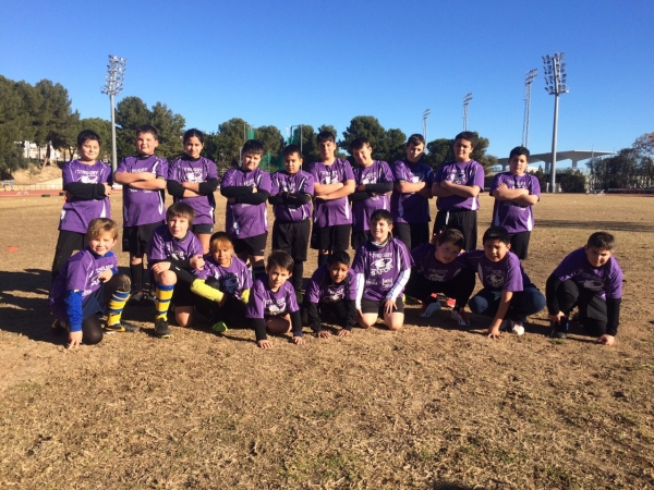 Buenos resultados de los equipos de rugby de La Safor