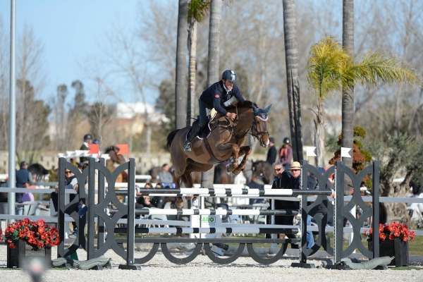 Oliva acoge la segunda jornada de caballos jóvenes en el MET