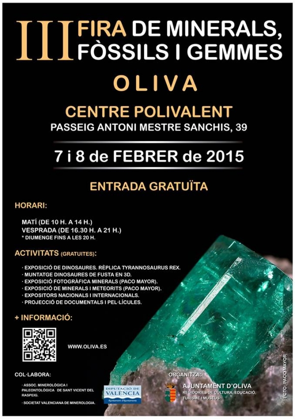 La tercera edición de la Feria de Minerales, Fósiles y Gemas de Oliva fue un éxito
