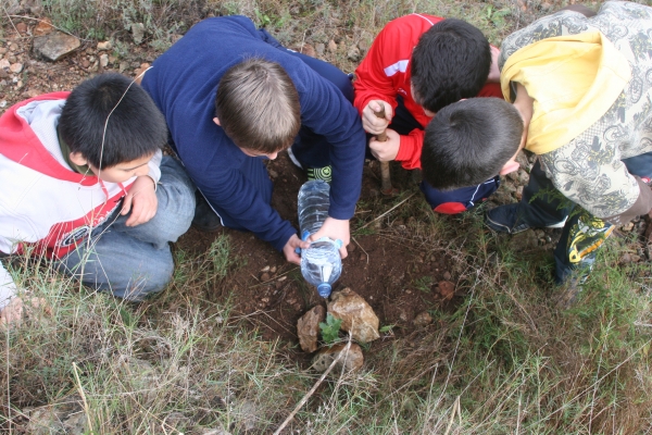 El ayuntamiento de Oliva celebra hoy el ‘Día del Árbol’