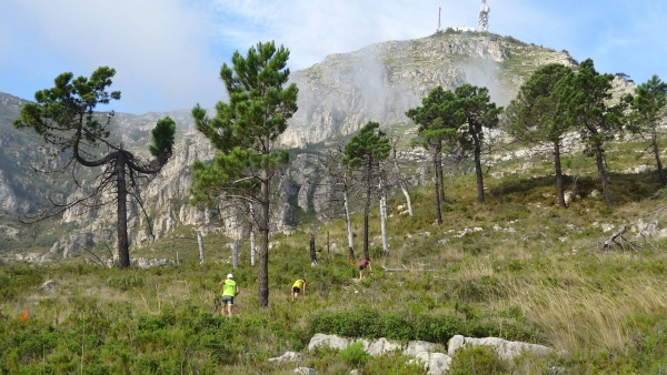 Todo a punto para el segundo Trail Xeresa Mondúber
