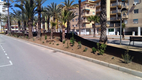 Tavernes de la Valldigna mejora el ajardinamiento de la Avenida de la Marina de la playa