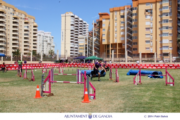 El trofeo canino Agility Ciudad de Gandia cumple su quinta edición