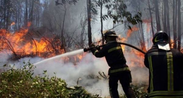 Gandia estará mañana en nivel 3, riesgo extremo, de incendios forestales