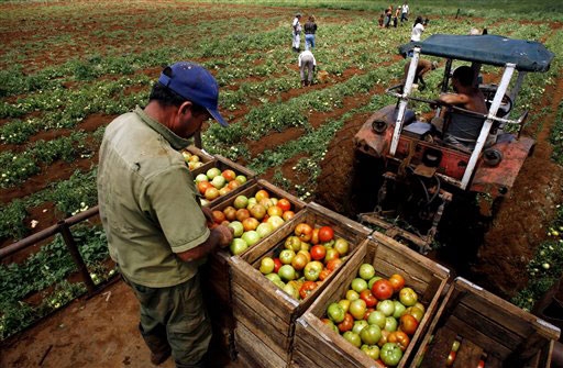 Rótova acoge una reunión sobre la problemática de nuevas variedades agrícolas