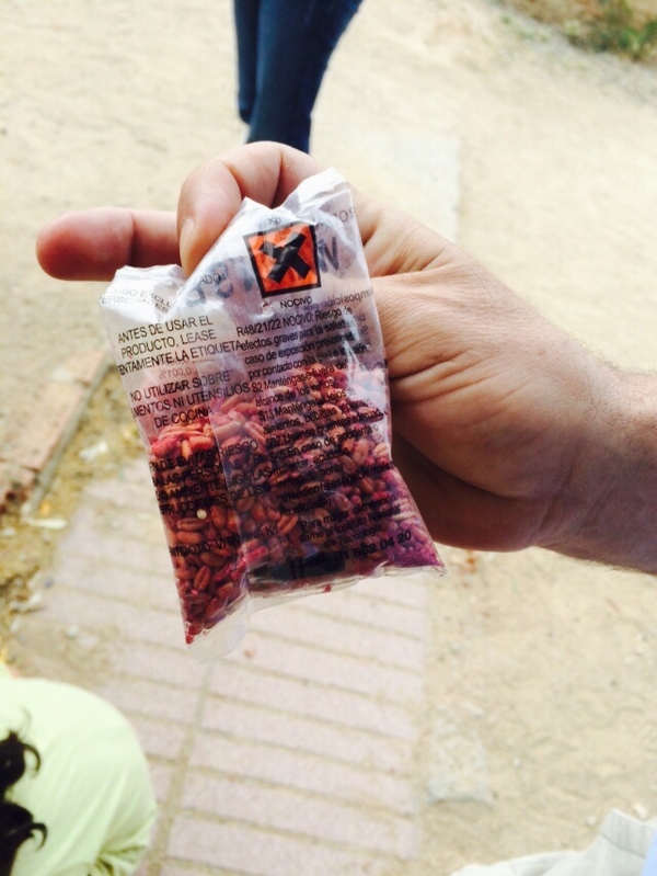 El PP de Xeresa denuncia la presencia de raticida en un parque sin previo aviso a los vecinos
