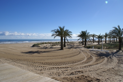 El Gobierno de Gandia asegura no tener nada que ver con las huellas de neumáticos halladas en las dunas de playa Can