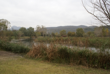 El Gobierno de Gandia negocia la apertura del acceso al Ullal de la Creueta y Samaruc