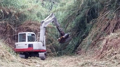 El Ayuntamiento de Tavernes de la Valldigna inicia la limpieza del río Vaca