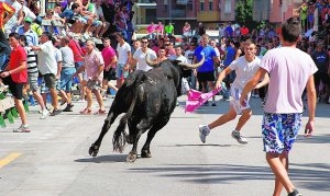 El Ayuntamiento de Simat de la Valldigna se plantea celebrar los bous al carrer el próximo año
