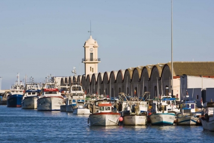 La Cofradía de Pescadores del Grau desanimados por la parada biológica