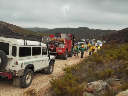 La Valldigna recibe una subvención de 20.000 euros de Conselleria de Medioambiente para actividades de voluntariado de prevención de incendios