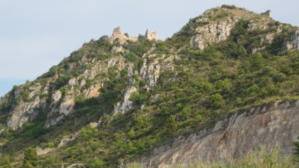 Gandia presenta el Mapa Naturalístico de la Safor