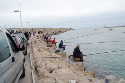 Gandia acogerá el concurso Mar Costa de Pesca