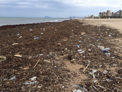 El PP de Gandia insta al gobierno que salve la playa del Ahuir