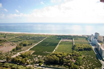 La Generalitat bloquea la construcción en la playa de l'Auir como paso previo a su protección
