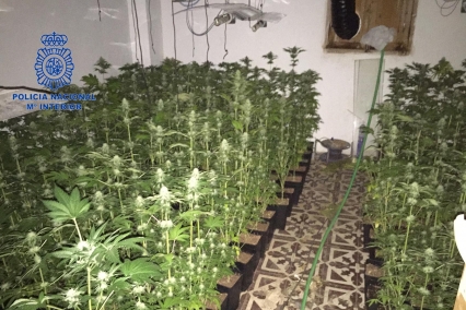 La Policía detiene en Miramar a un hombre por convertir su casa en un laboratorio de marihuana