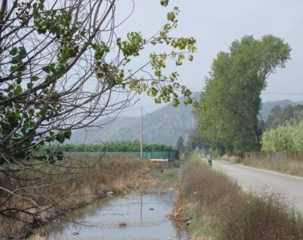 Gandia asfalta el camino del Camping la Naranja tras haberse producido varios accidentes